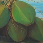 cocos en la playa