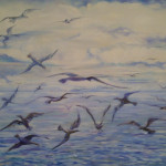 gaviotas