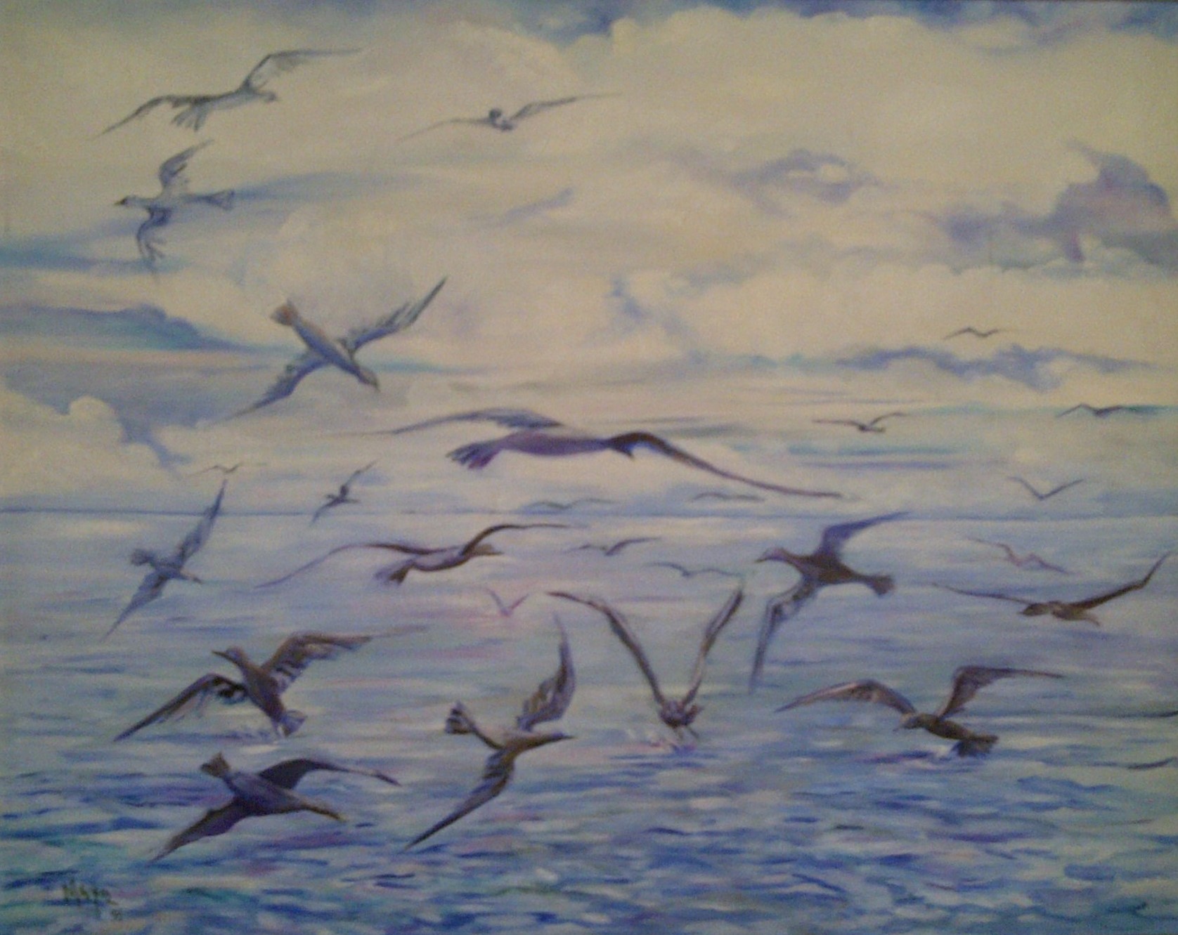 gaviotas