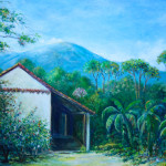 patio de la casa del pueblo