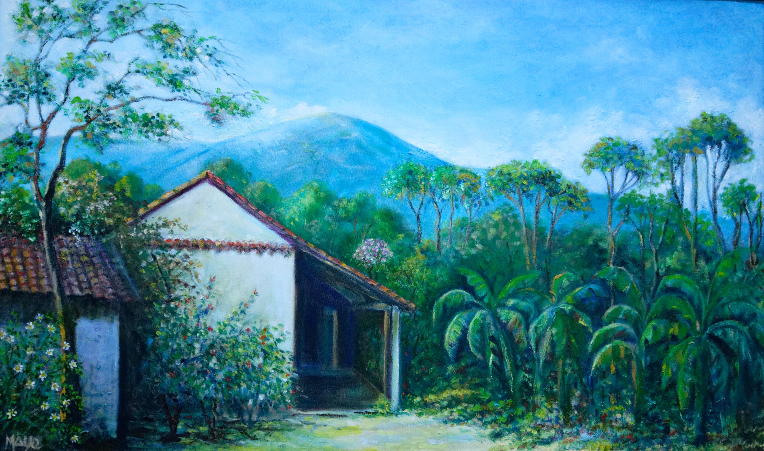 patio de la casa del pueblo