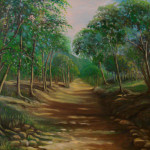 camino a la montaña